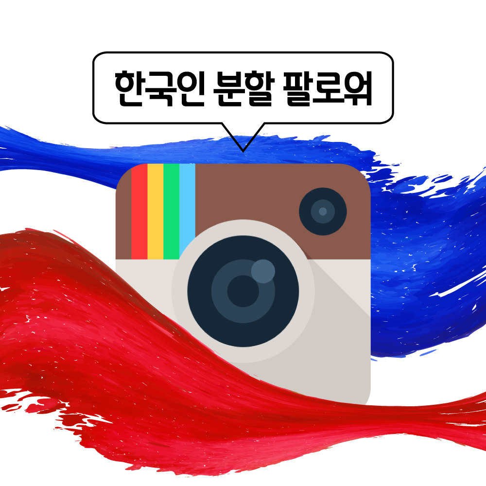 한국인 분할 팔로워