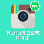 인스타그램 프로팩(외국인) ·팔로워+자동 좋아요+노출+저장+공유· (30일)